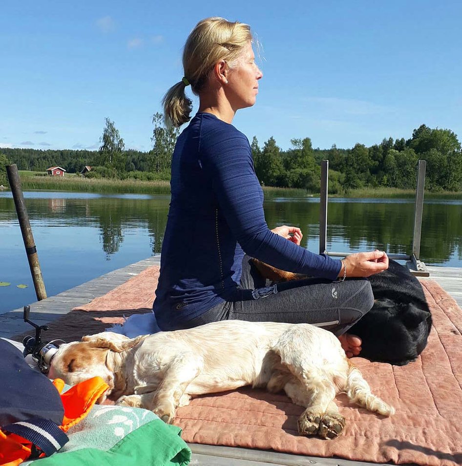 meditera tillsammans med din hund